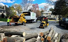  Malabar, FL Tree Services Pros